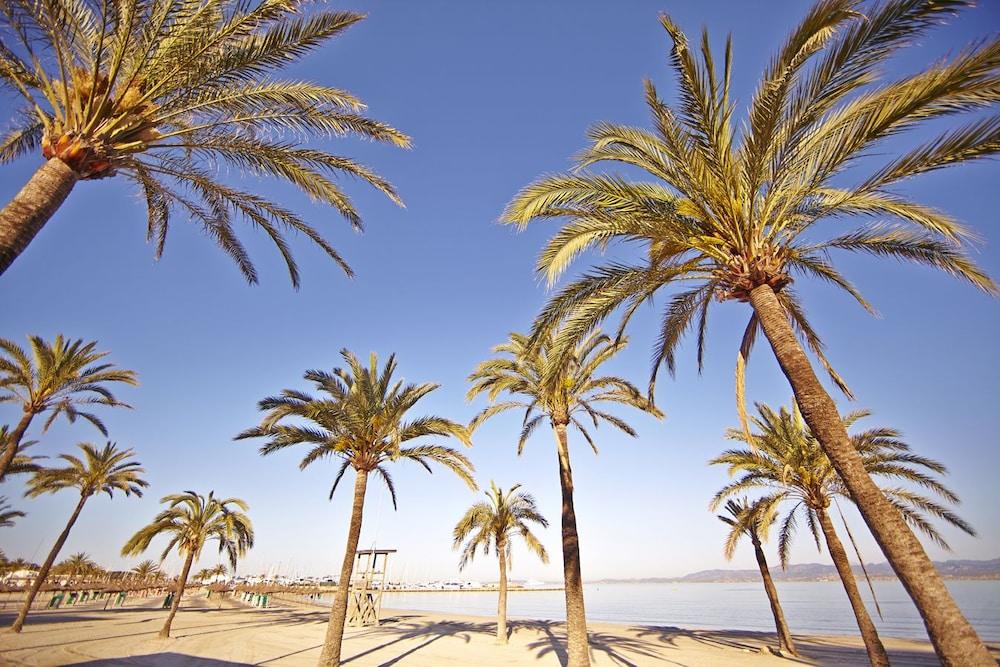 Sahara Nubia Gobi Hotel Ses Cadenes Eksteriør billede Palma de Mallorca